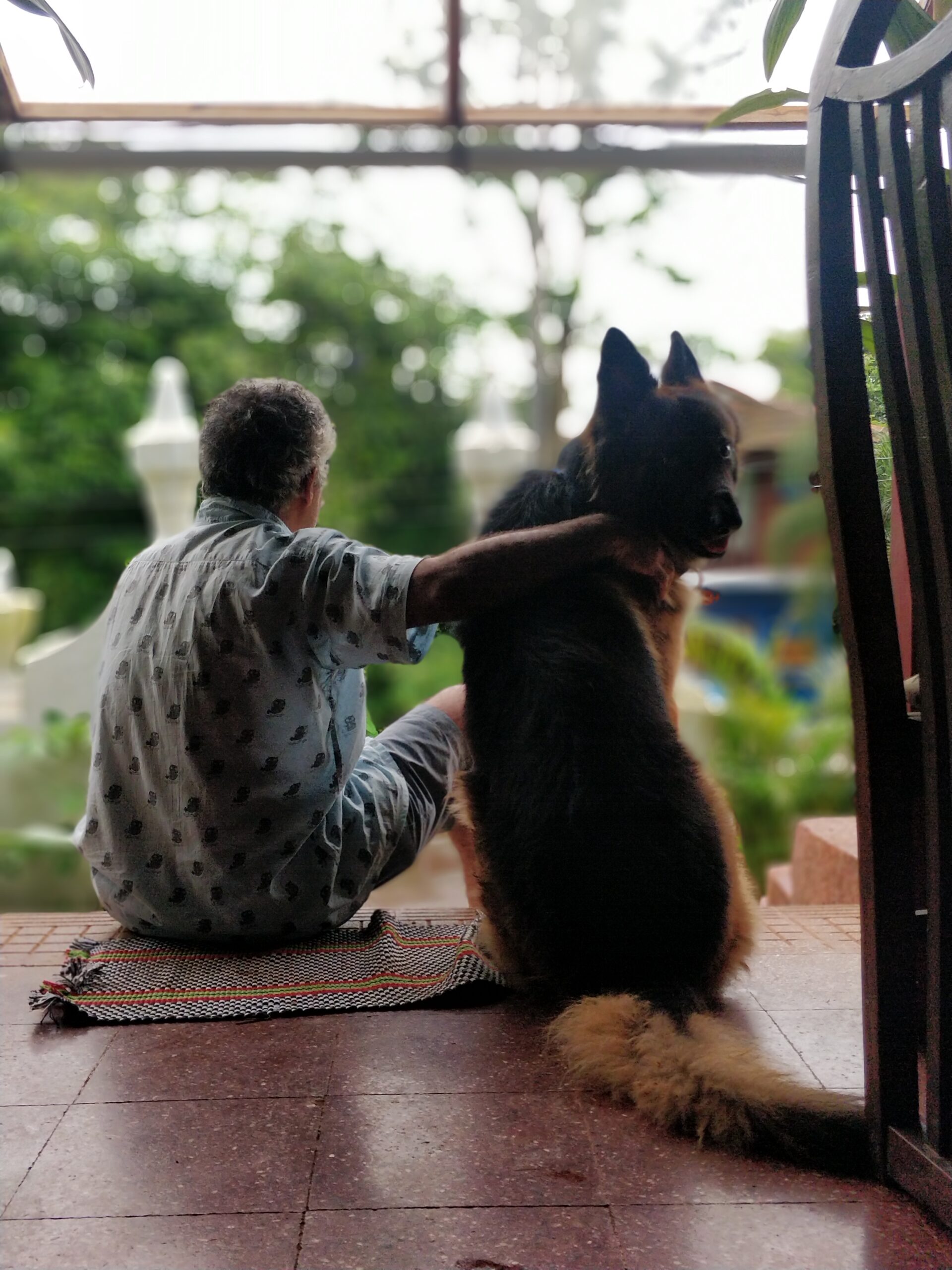 About Us Raintree Veterinary Clinic & Rehabilitation Centre